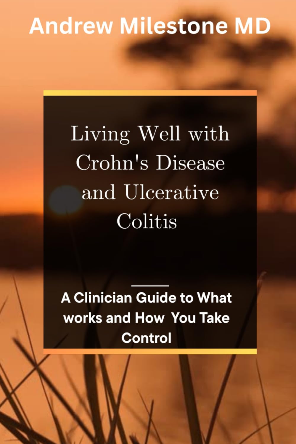 Living Well With Crohn’s Disease and Ulcerative Colitis: A Clinician Guide to What Works and How You Take Control