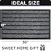 ubdyo Door Mat Outside Entrance - Dirt Trapping Outdoor Welcome Mats - Non-Slip Outdoor Indoor Entrance - Low Profile Front Doormat (30
