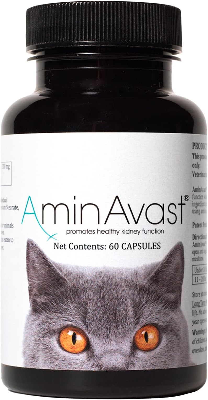 RenAvast Kidney Support for Cats (60 capsules)