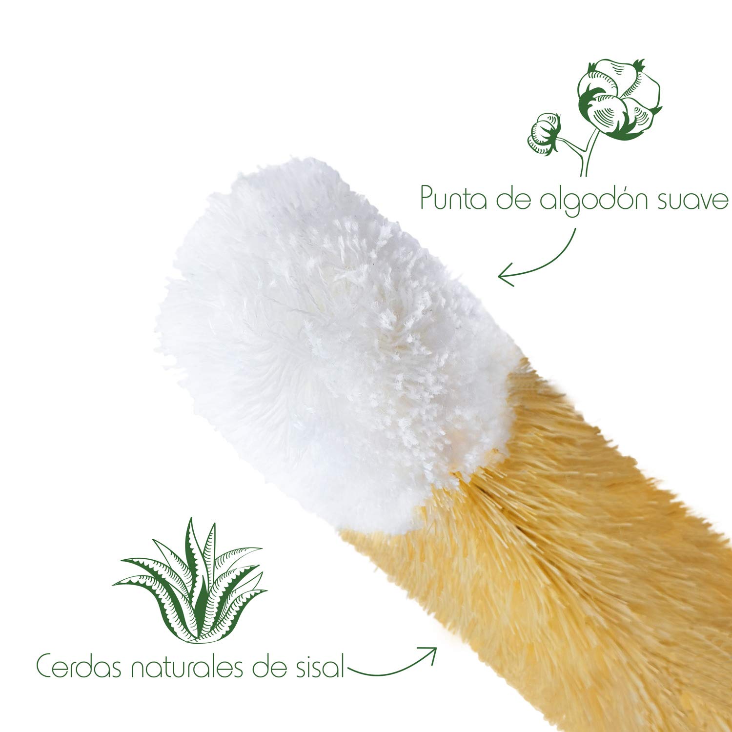 Set de Cepillos Limpia Botellas para Cristalería | Cuatro Cepillo Limpieza | Lava Botellas de Fibras Naturales | Brocha Limpieza con Punta de Cotón | Set Limpia Biberones | Bottle Brush | Bambaw