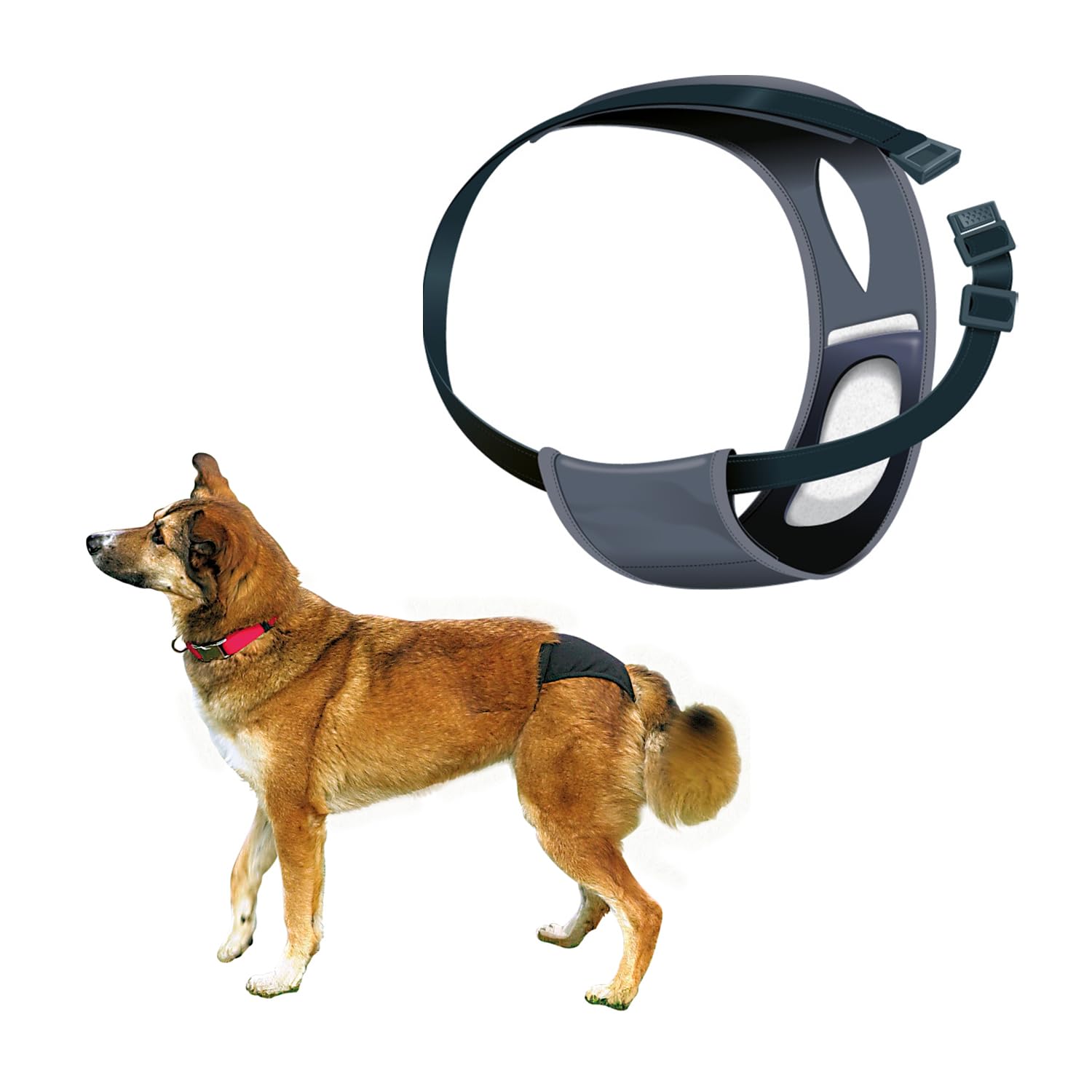 Trixie: - Protective Pants for Female Dogs | Designed for Dogs in The Season to Prevent Staining of Carpets & Other Fabrics | Handy Snap Clip Makes It Easy to Put On | Washable - L: 50-59cm