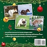 Zoom IMG-1 kackende hunde adventskalender 2022 das