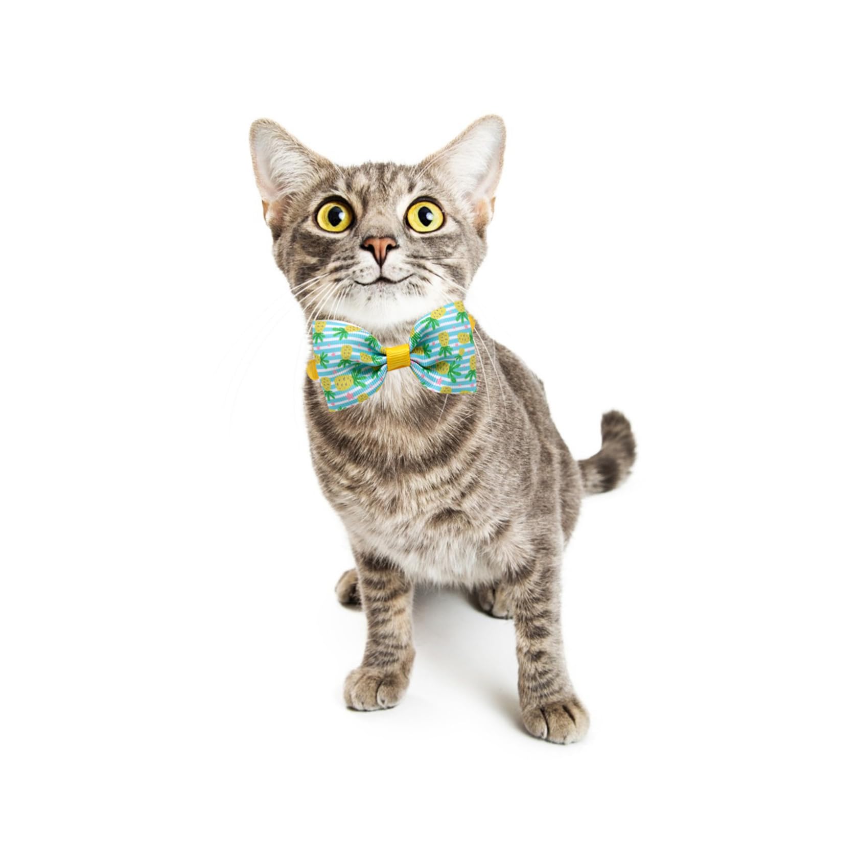 FRCOLOR 48stücke Teiliges Verstellbares Hundehalsband Mit Fliege Für Kleine Und Mittelgroße Hunde Stilvolles Accessoire Für Partys Hochzeiten Und Feste Atmungsaktiv Und Bequem