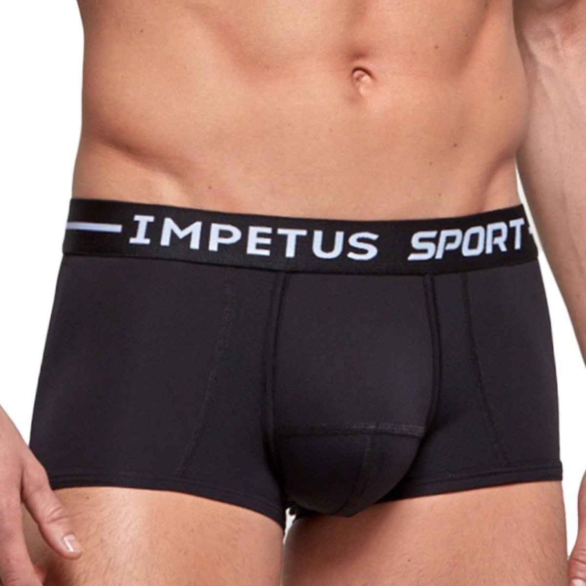Boxer Impetus Sport
