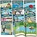 Junior Learning Letters & Sounds, Phase 1, Set 1, Fiction Boxed Set, Paperback 12-per Set (JRL380)