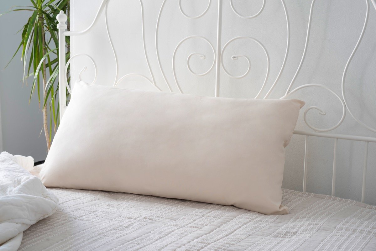 Magnolia Organics Organic Cotton Pillow - King
