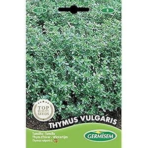 Germisem EC1115 Thymus Vulgaris Tijm Zaden 0.5 g