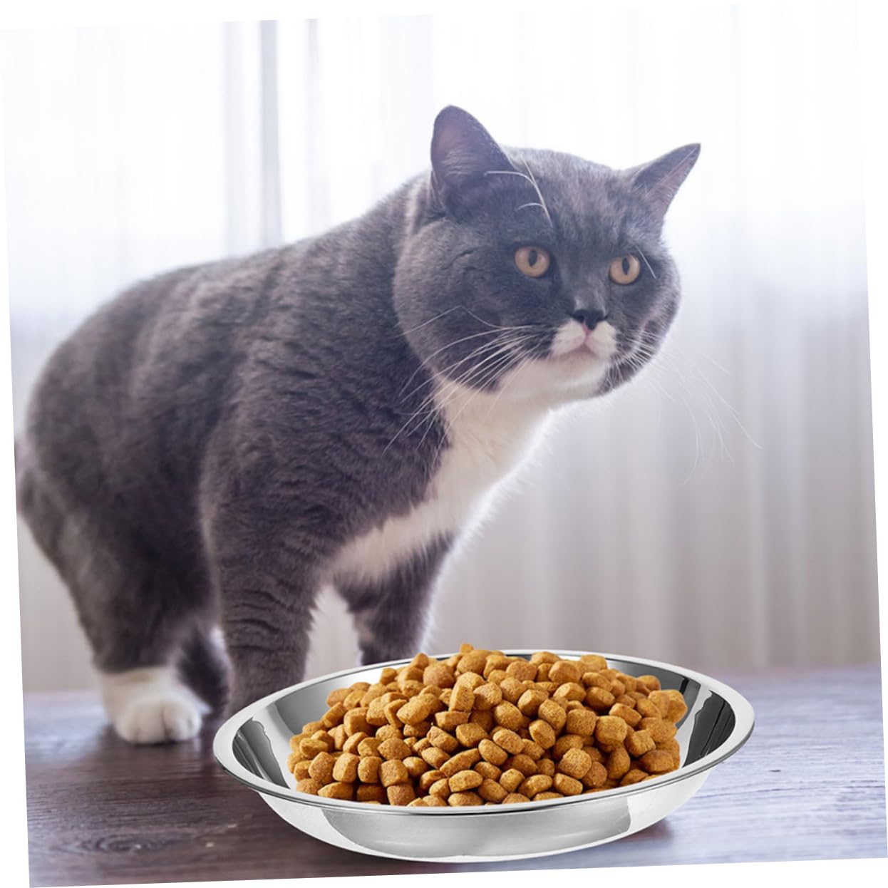 VORX Edelstahl Katzennäpfe – 3 Stück, 15 Cm, Mit Rutschfester Gummibasis
