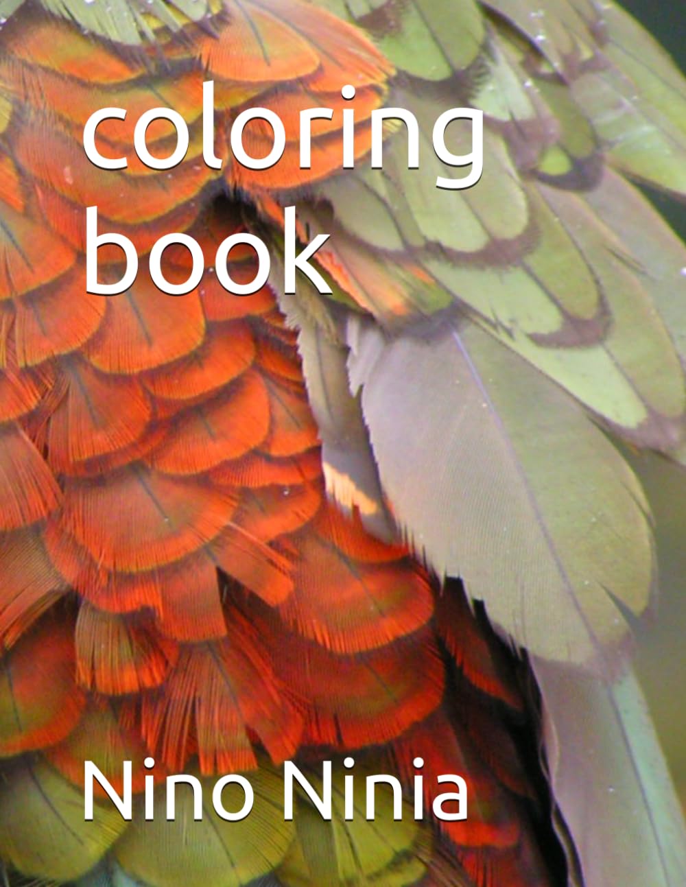 coloring book: for whole family , enjoy the day