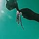 Spells [VINYL] [Vinyl LP]