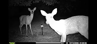 Review Image by Jason B Jason B