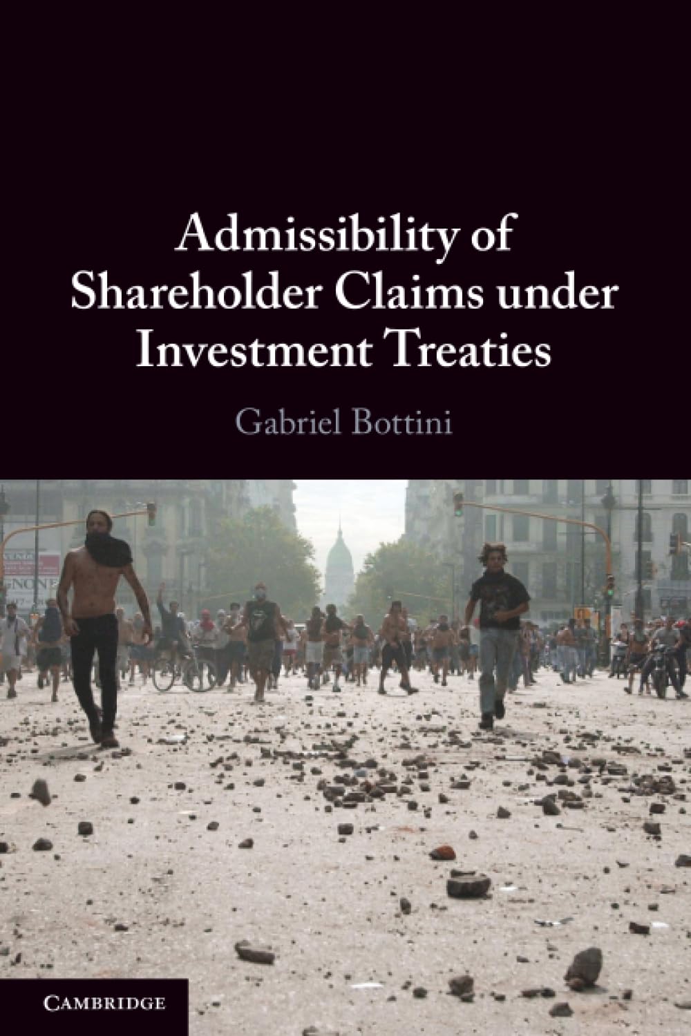 Admissibility of Shareholder Claims under Investment Treaties