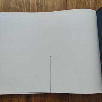 Shag the collected works 美品　画集 Amazon.co.jp: シャグ shag autumn's come undone 画集 イラスト