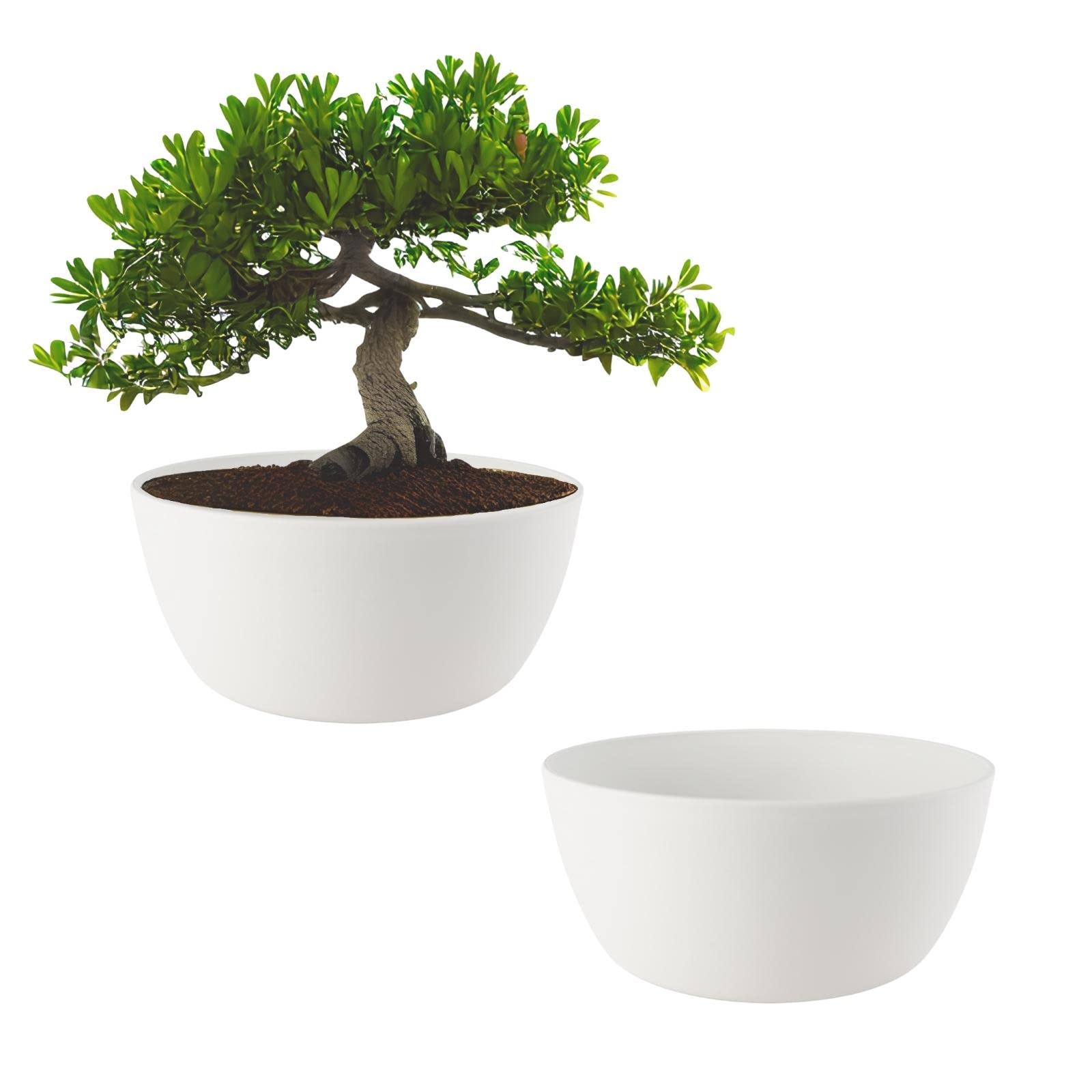 ECOMACETAS FLOWERPOT STORE Maceta Bonsai, Macetas para Bonsais, Cactus, Suculentas, Crasas Redonda Baja de Plástico Blaco (2, 20 cm)