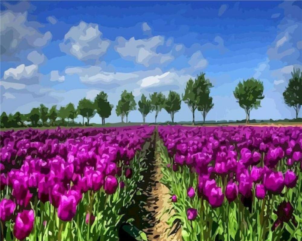 Peinture par numéro fleurs kit bricolage adulte toile acrylique décoration maison