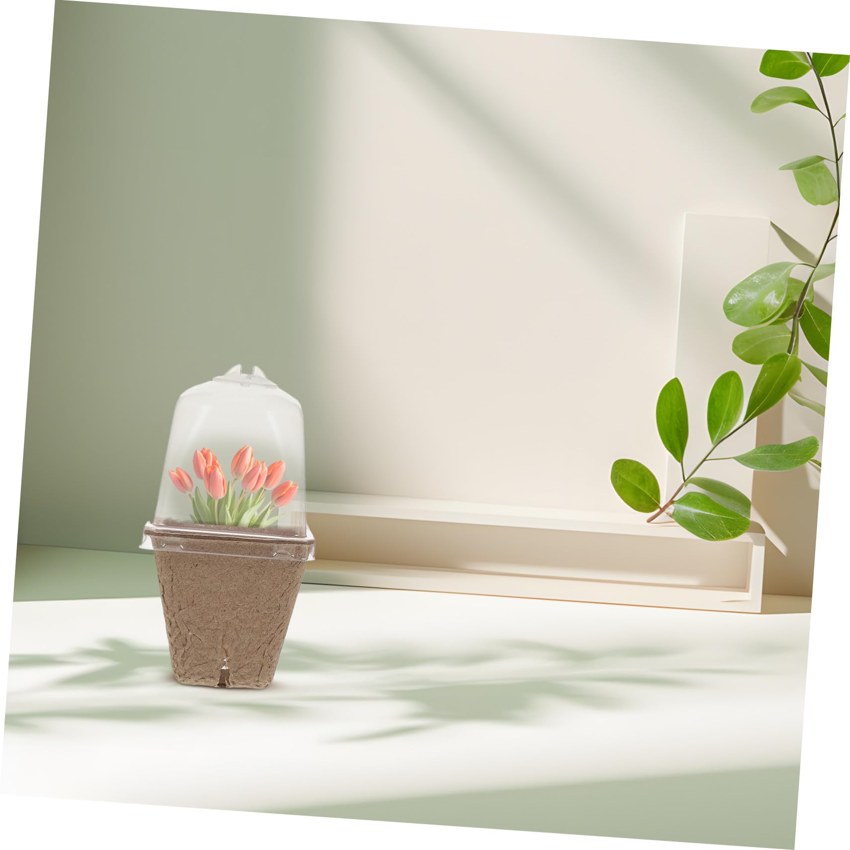 iplusmile Pots de Semis Carrés avec Dôme Ventilé en Pâte de Papier Lot de 36