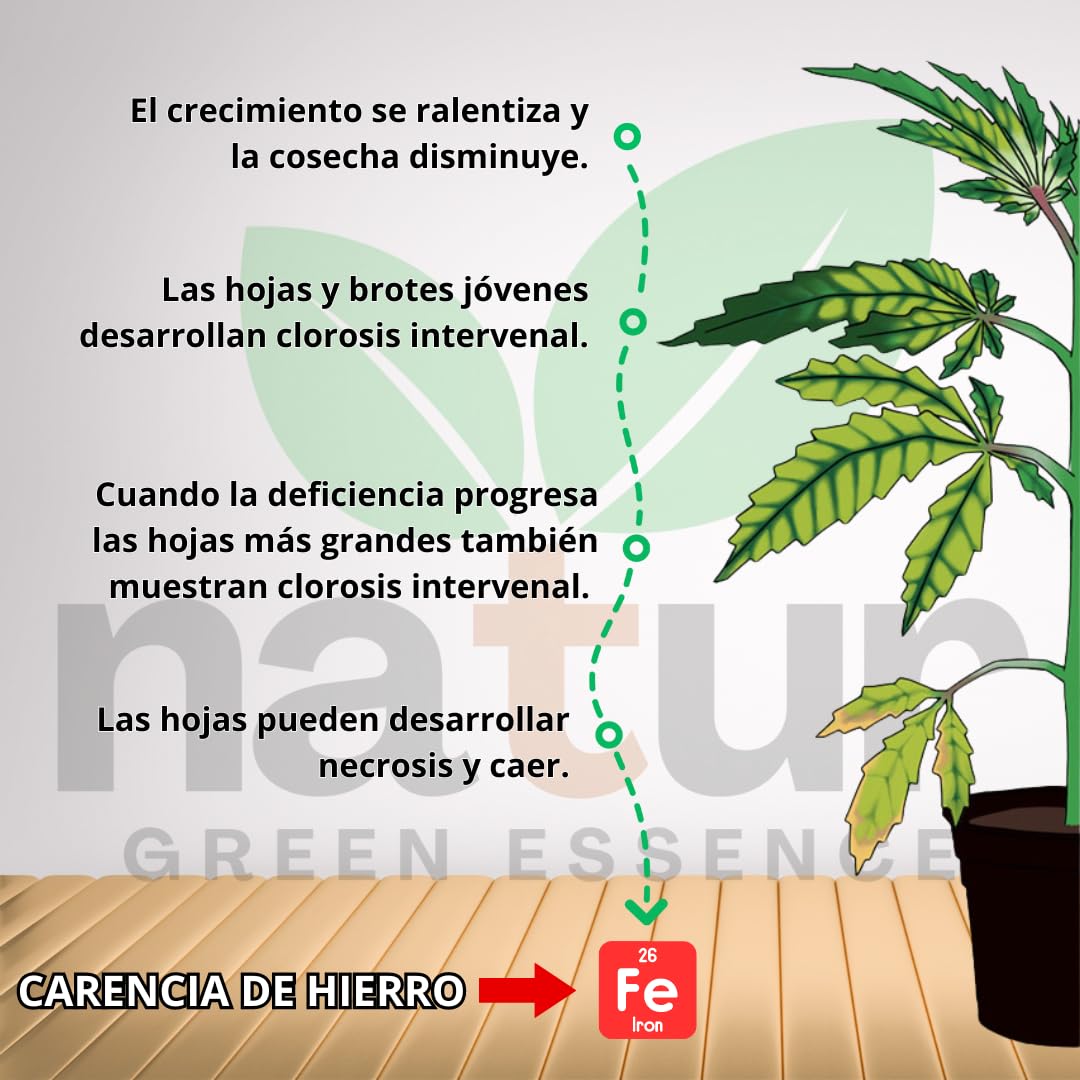 Natur, QUELATO DE HIERRO EDDHA para plantas, Reverdeciente Anticlorosis, Nutriente imprescindible, Fertilizante ecológico, Concentración ideal (6% Fe EDDHA o,o 4,8%), Plantas Verdes y Sanas, 5 KG