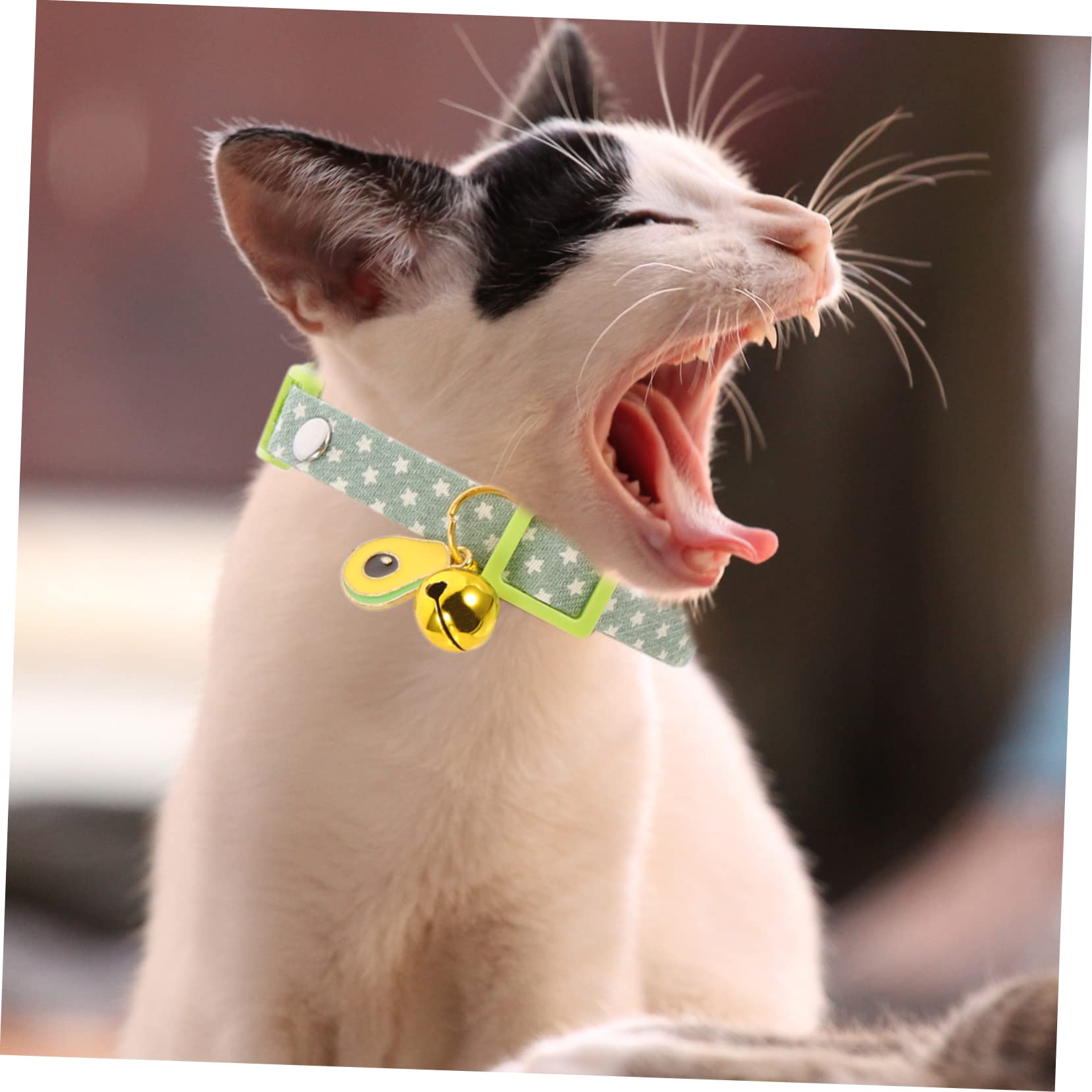 Happyyami 12pièces Collier Décoratif pour Chat avec Pendentifs Avocat Réglable Et Confortable De Avocat Œuf Plat De Patte Bleue pour Chats Et Chatons Parfait pour Fêtes Photos