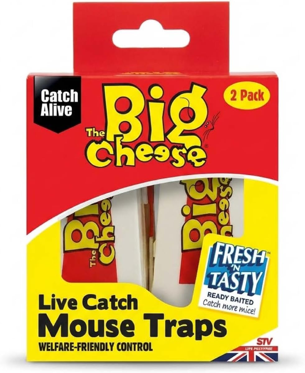 The Big Cheese Live Catch Mouse Trap, Humane, Baited and Ready-To-Use, Catch and Release, Easy Setting and Cleaning, Plastic, Indoor and Outdoor Use