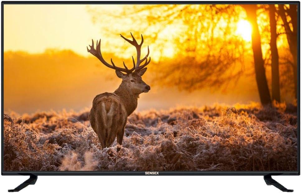 Sensex 80 cm (32 Inches) HD Ready LED TV SX320 (Black) (2019 Model)