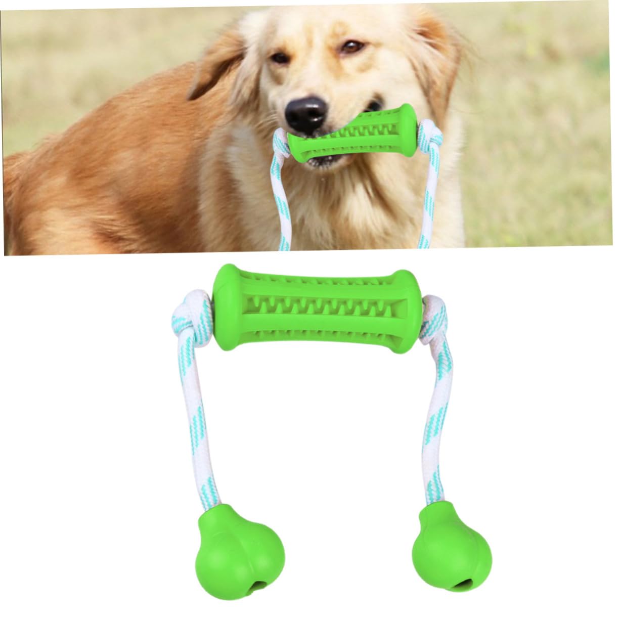 INOOMP 3piezas Juguete para Perros Cuidado Cepillo De Dientes para Mascotas Juguete De Masticar y Limpieza para Cachorros y Perros Pequeños Verde