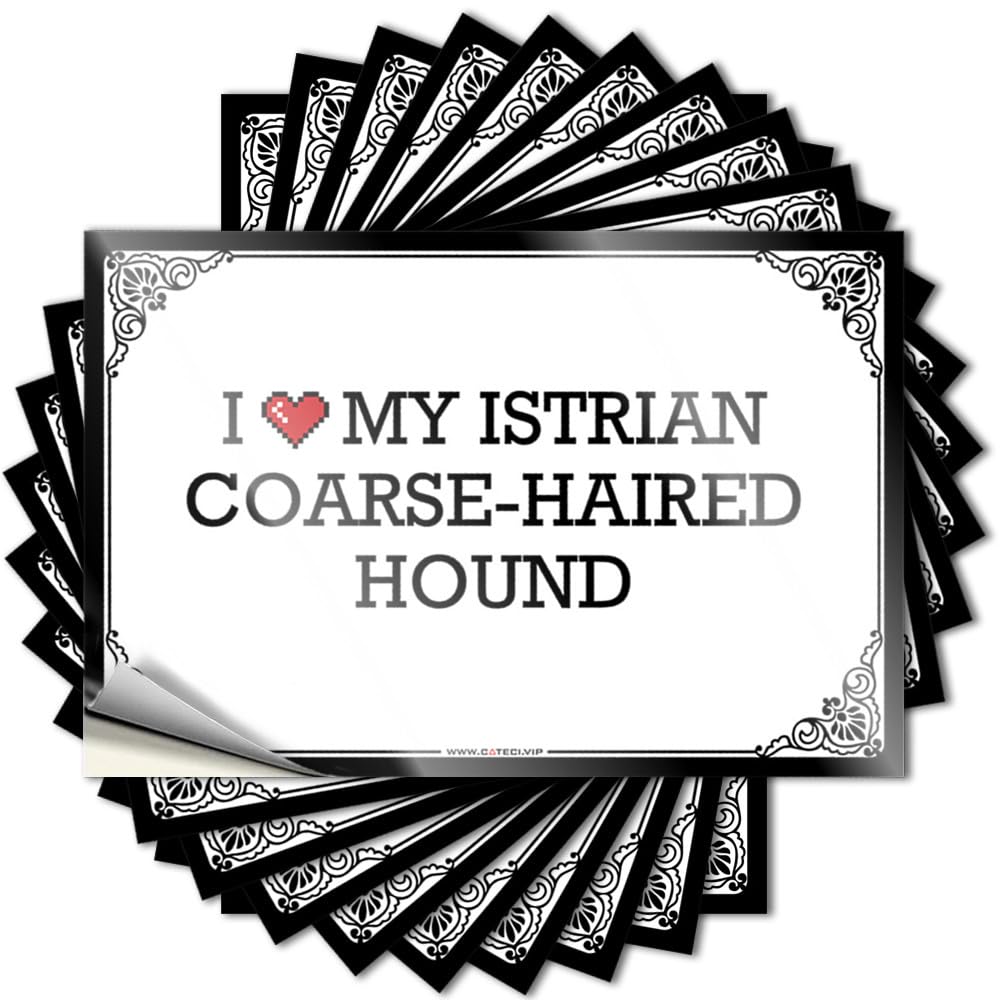 Fzfn Boys Colour Space Great Decal - I Love My Istrian Coarse-Haired Hound Removable Decal Cover Easy Peel For Gamers(6X9cm)