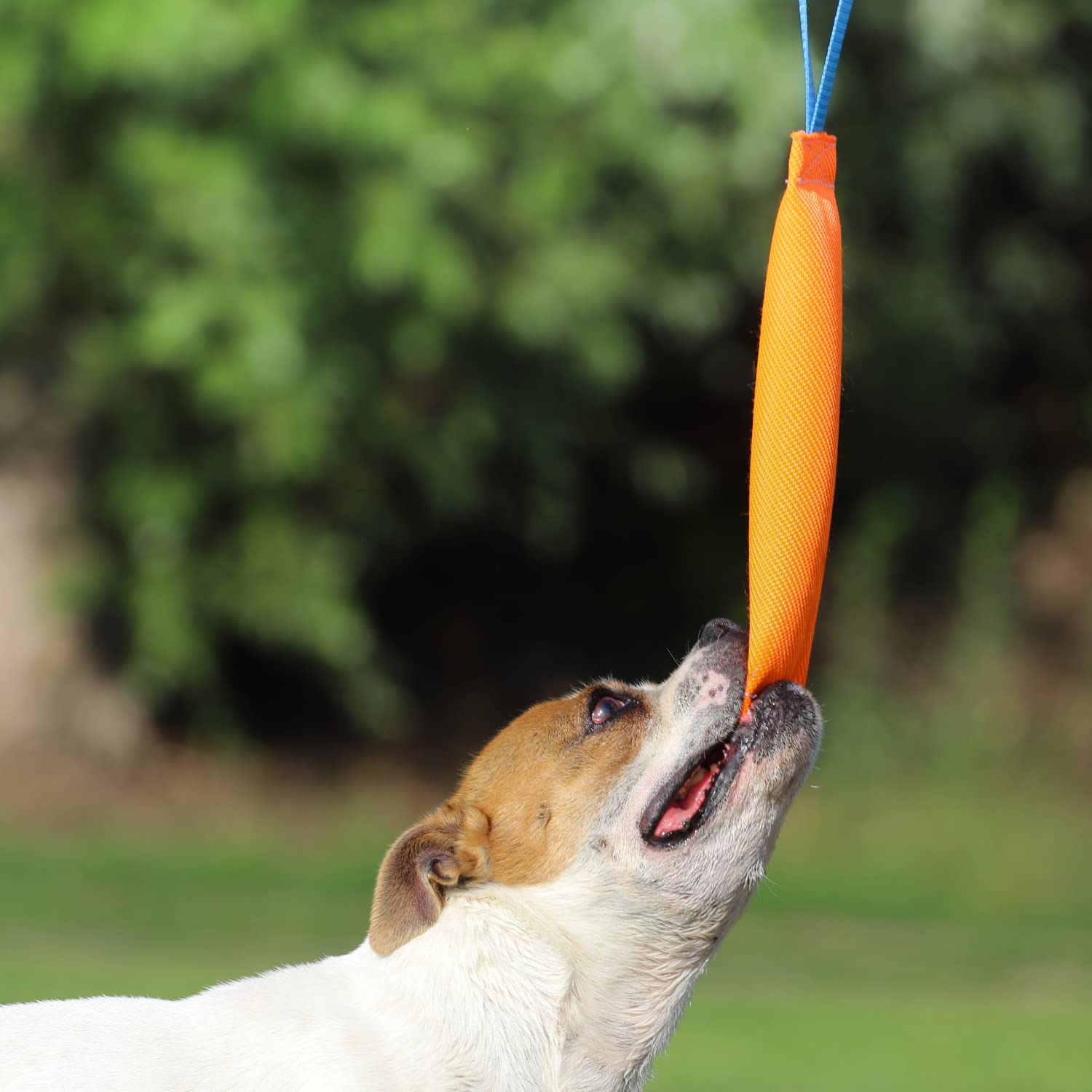 Bull Fit Manicotto per Cani con Cuciture Esterne Fiocco - Manichetta Antincendio Fatta a Mano per Addestramento o Gioco Arancione