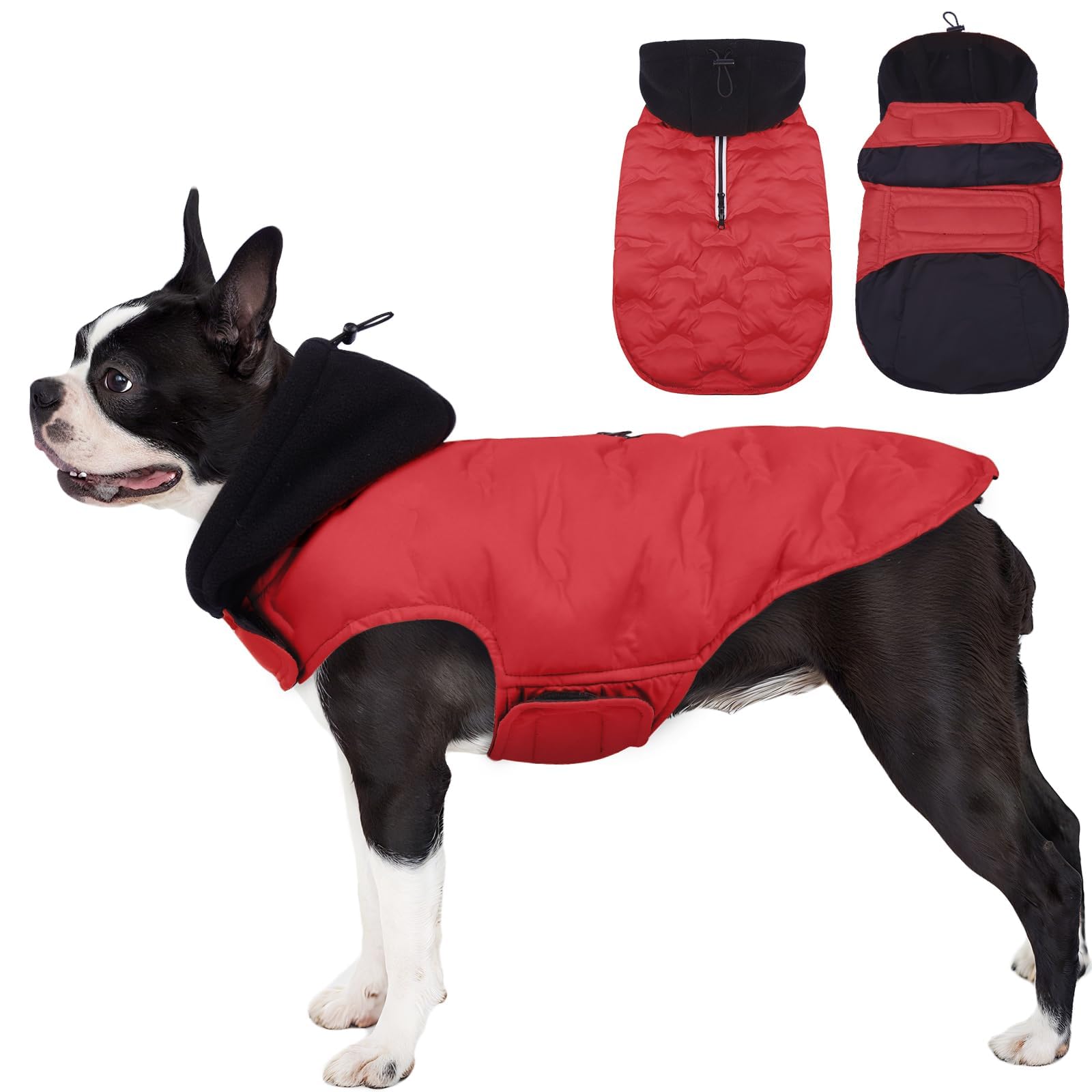 Veste chaude pour chien gilet d'hiver petits chiens manteau capuche réfléchissante temps froid