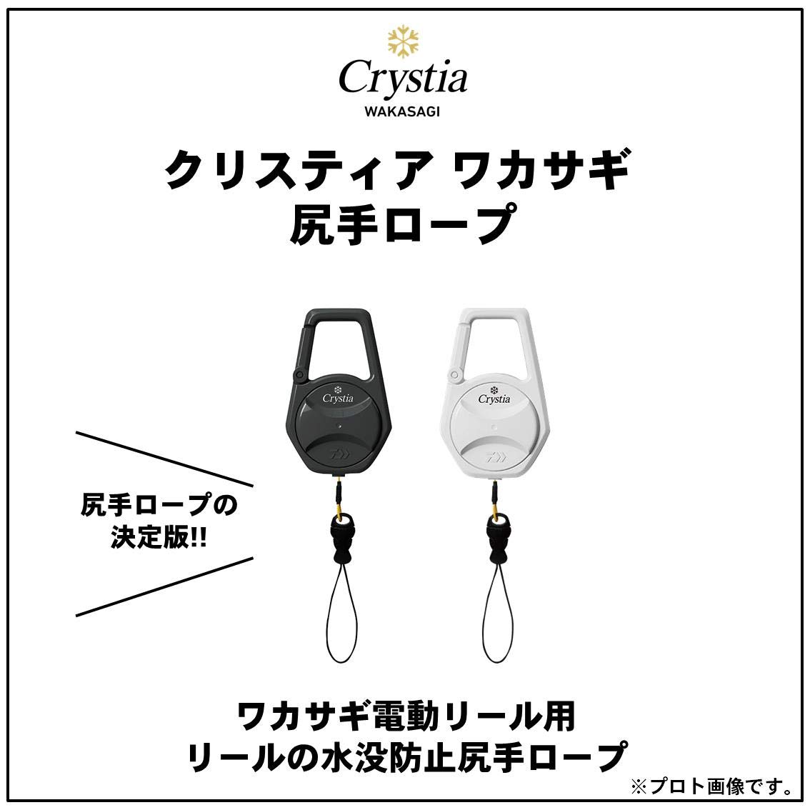 ダイワ　ワカサギ　電動　クリスティア　SR バリバス　エステル　落下防止 Amazon | ダイワ(DAIWA) ワカサギ電動リール クリスティア
