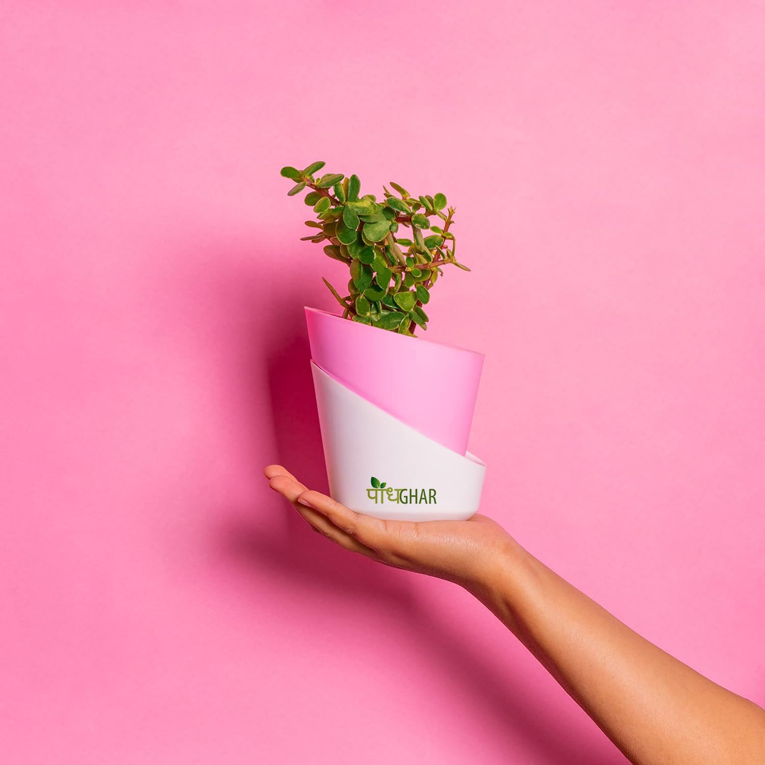 PODHGHAR Jade Indoor Plants for Living Room, Air Purifier Plants Beautiful Selfwatering Pots, Plants for Home Decor, Bedroom (Pink) (B0DDT6VPMH) Amazon Price History, Amazon Price Tracker