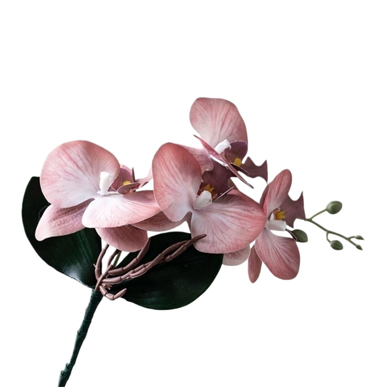 DSFVERVD Artificial Butterfly Orchid Artificial Moth Orchids Realistic