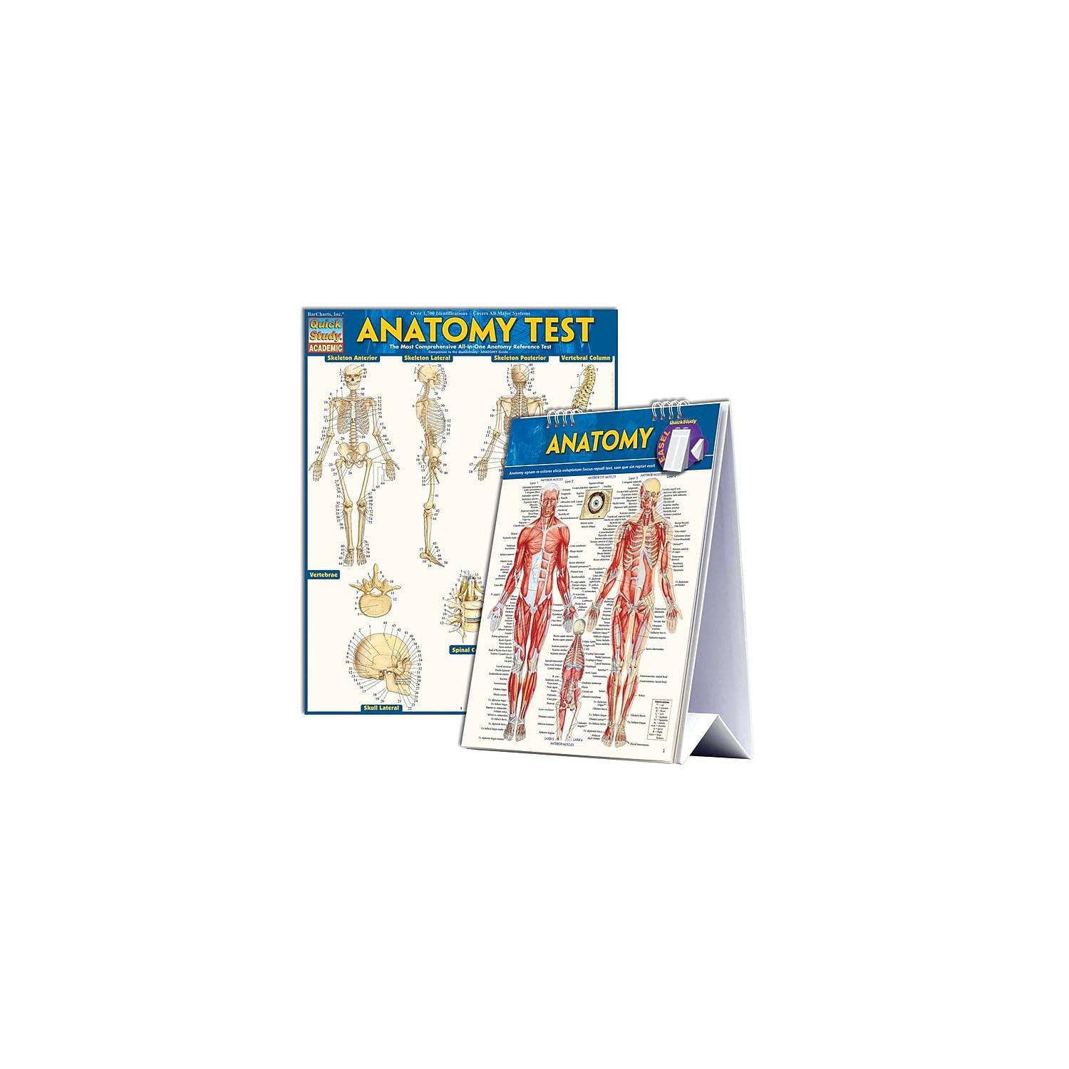 BarCharts, Inc. QuickStudy Anatomy Easel Reference Set (2498001) (9.78142E+12)