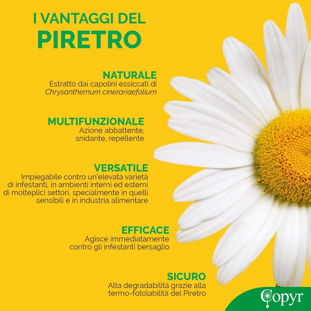 Copyr Kenyatrin Safe e Copyrmatic Evolution Night & Day - Insetticida Antizanzare, Mosche e Insetti Volanti, 6 Bombole 250ml + Erogatore Automatico, Piretro Insetticida Biologico e Repellente Zanzare
