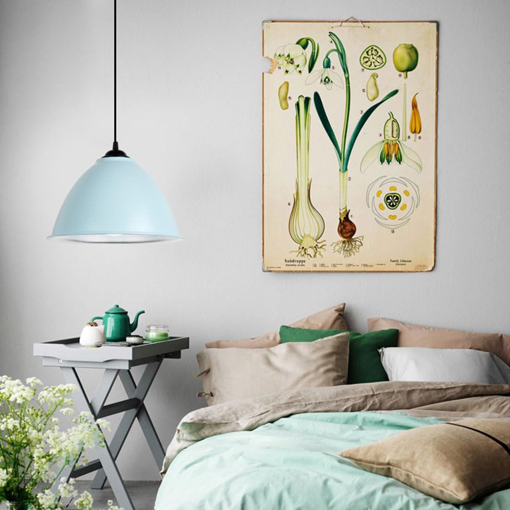 Lámpara Colgante De Estilo Rústico Colorida, Diseño Moderno, Luces De Suspensión De Color, Lámpara De Techo Empotrada, Pantalla E27, Fuente De Alimentación, Lámpara Colgante De Un Solo Cabezal STVDEDG