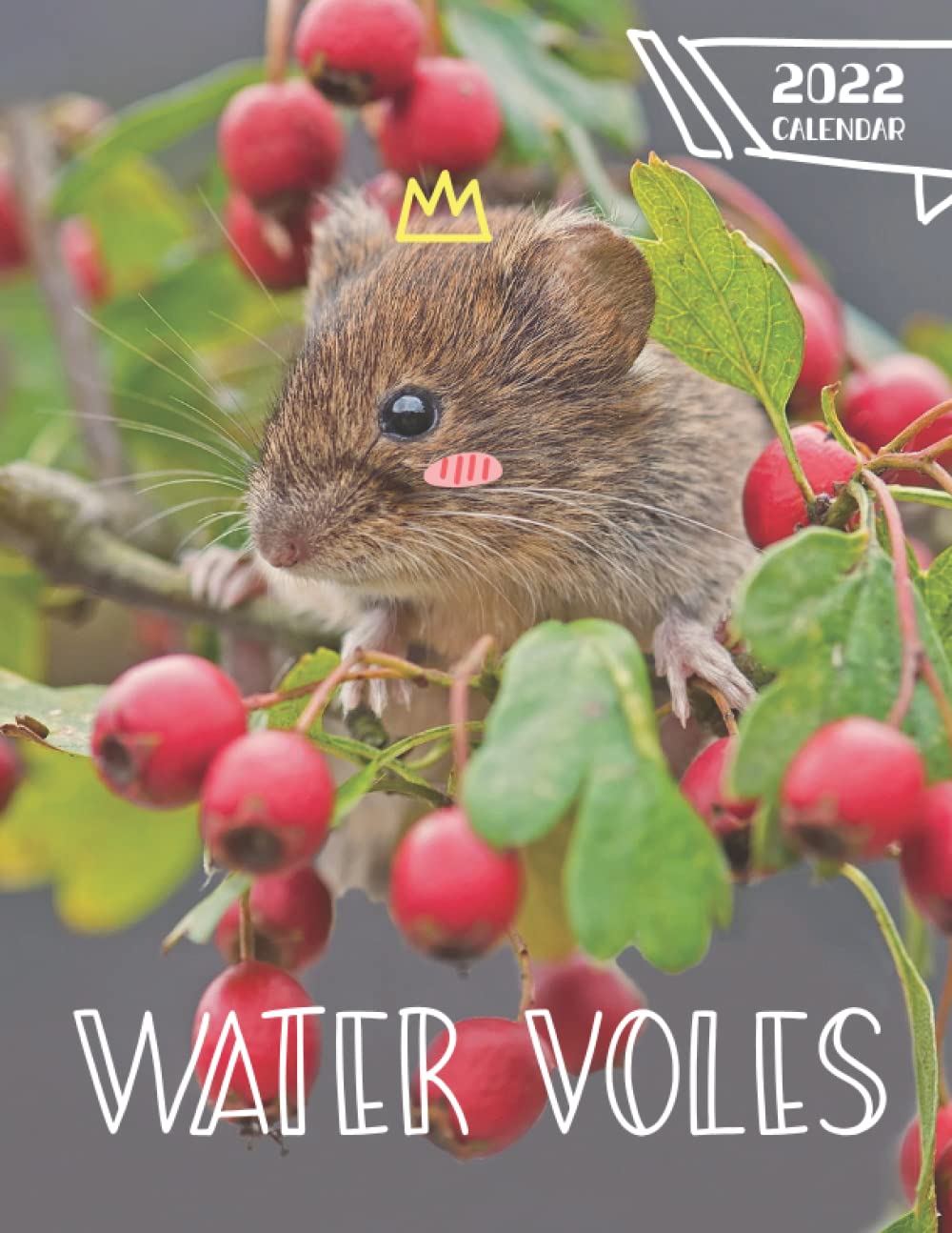 Water Voles Calendar: Great Gifts for Anyone with Large Calendar 8.5''x11''
