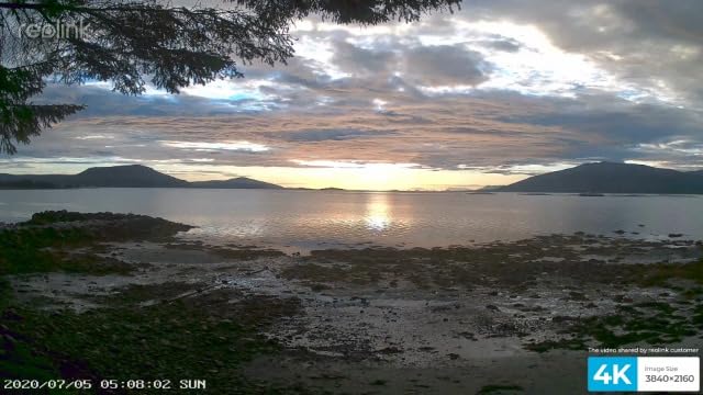 Bild 6 - Reolink 4K Überwachungskamera Aussen Set, 4X 8MP PoE IP Kamera Überwachung mit Smarter Personenerkennung und Fahrzeugerkennung, 8CH 2TB HDD NVR für 24/7 Videoüberwachung, 30M Nachtsicht, RLK8-800D4