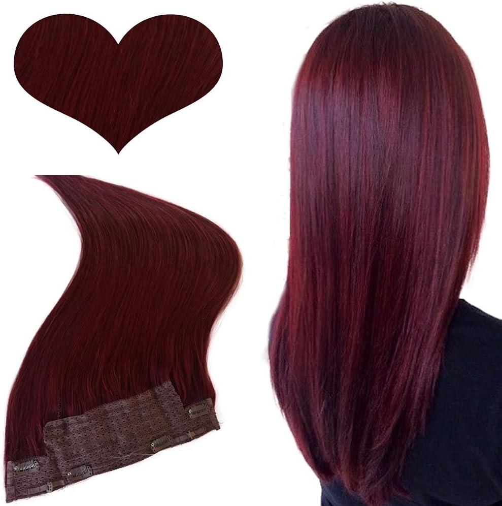 Halo Hair Extensions Human Hair Extensions Dark Wine Halo Human Hair Extensions Natural Hair Extensions Flip in Extensions One Piece Hair Wefts for Women 20 Inch 100g Remy Hair Extensions