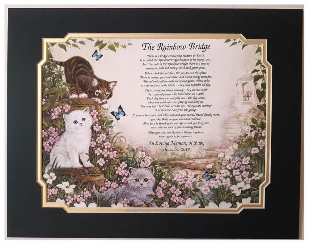 NAMES TO REMEMBER Rainbow Bridge Pet Bereavement/Memorial Poem Gift For Loss of Your Beloved Cat w/Forest Green & Frosted Gold Dual Mat by Names To Remember