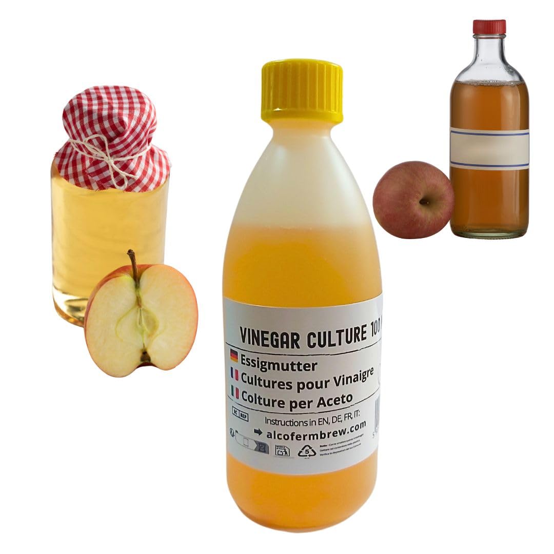 Mère de vinaigre 100 ml, Bactéries acétiques pour fermentation, Culture de fermentation maison, Acetobacter