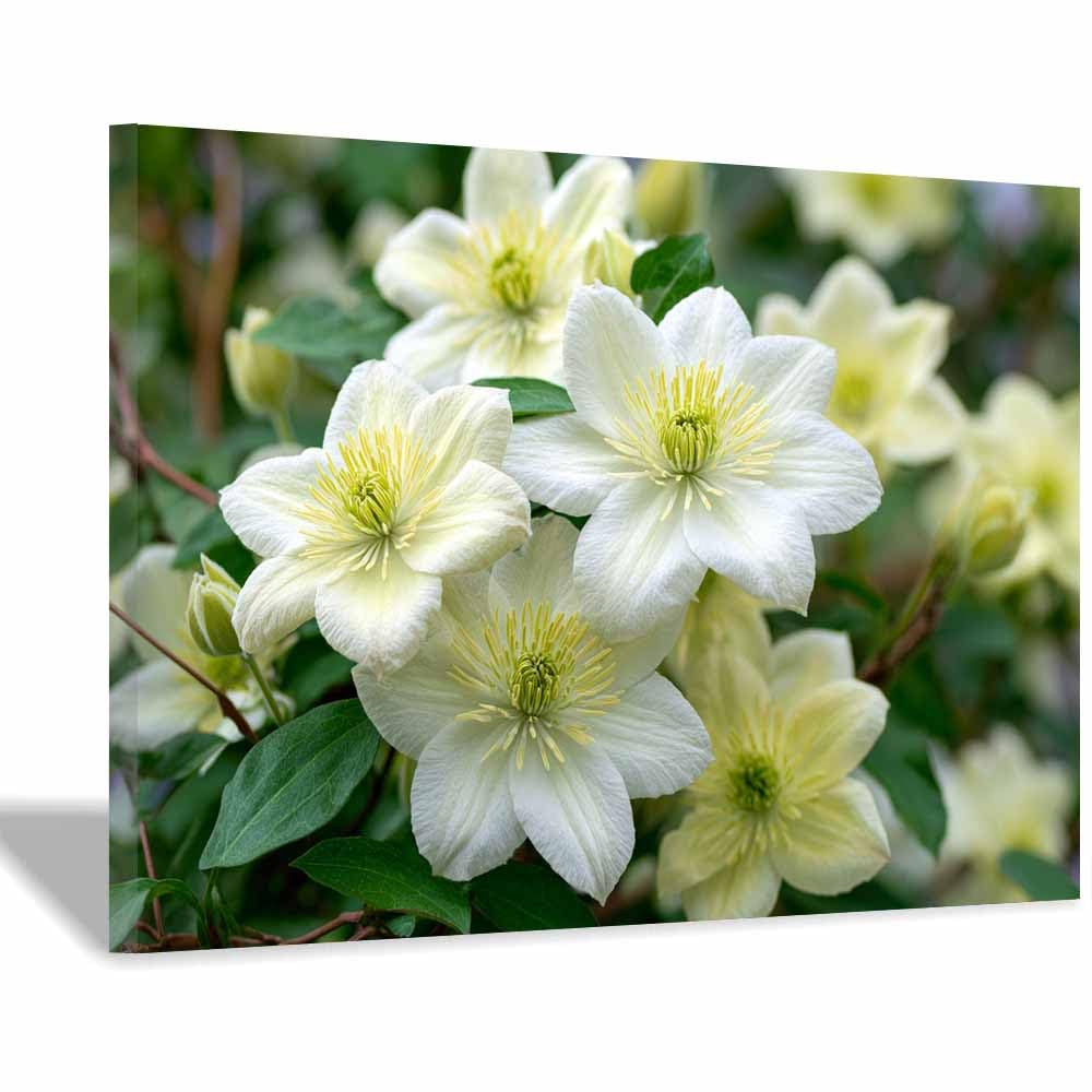 ZAMAEIU Forest Landscape Painting Clustered blossomss Canvas Artwork posters & prints Suitable for Living Room Bathroom Bedroom Home Wall Decoration(white)-60x90cm Framed