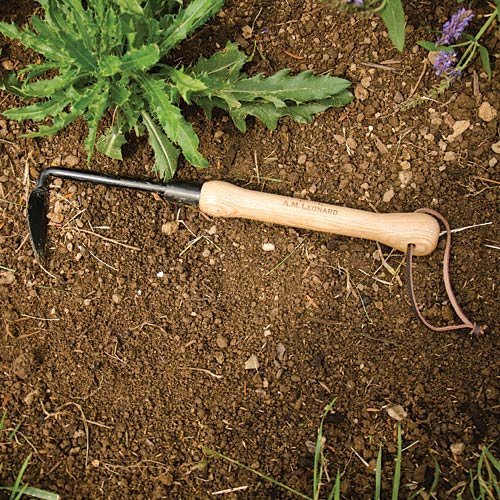 Hand Forged Cape Cod Weeder — GARDENHEIR