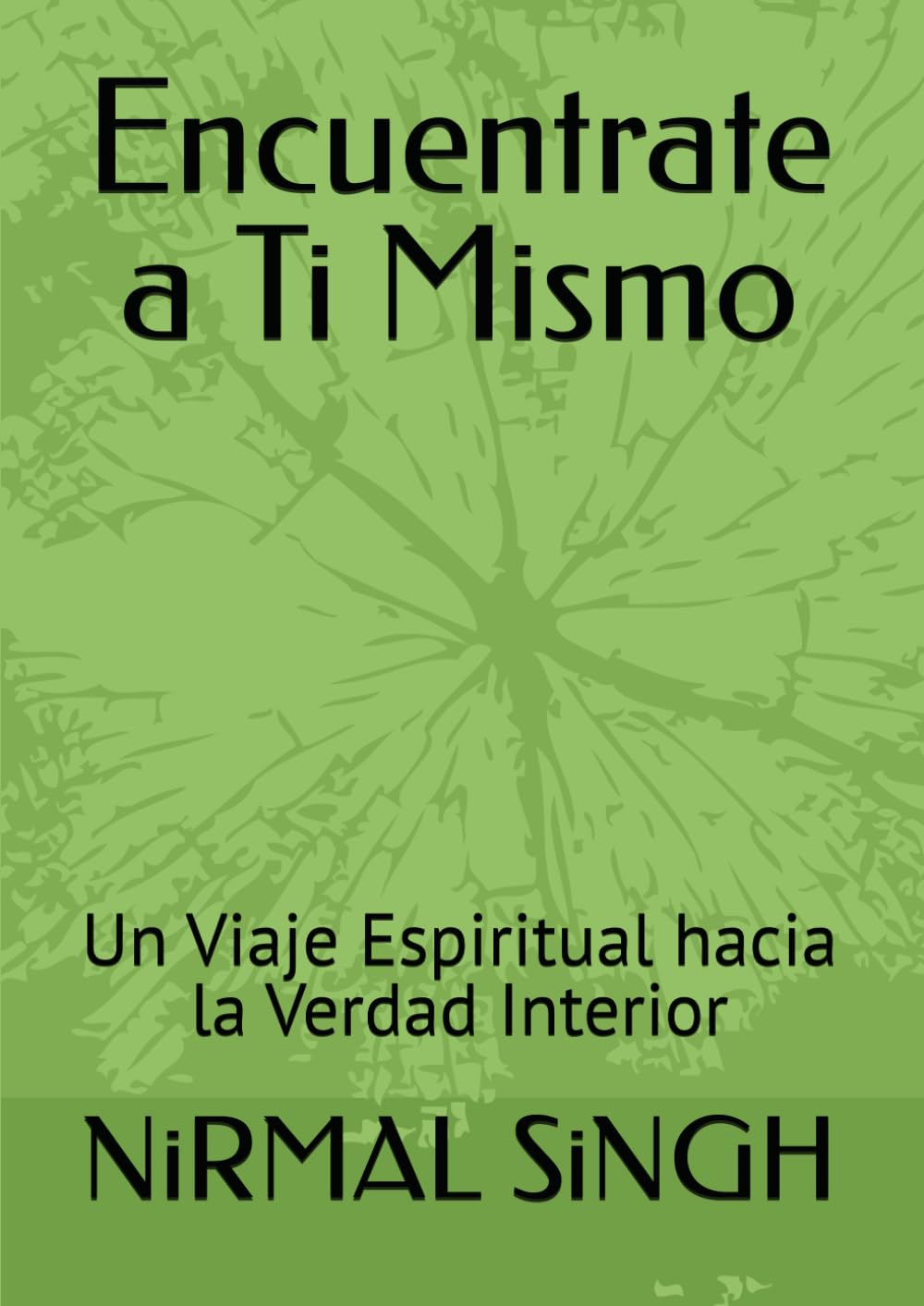 Encuentrate a Ti Mismo: Un Viaje Espiritual hacia la Verdad Interior