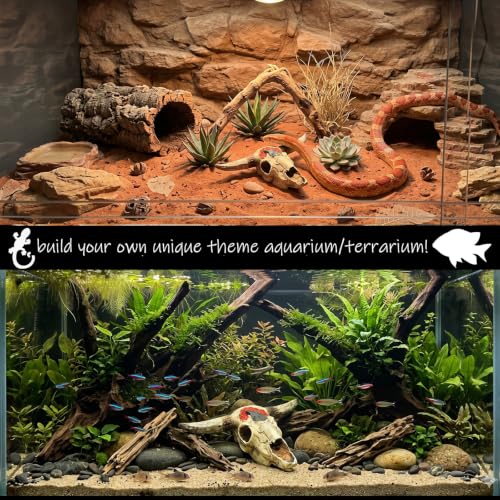 Image of Bull Skull Decor Fish Aquarium Tank Hideout Decorations Fish Tank Decor Skull Betta Animal Large Reptile Bones Snake for Terrarium Ornament