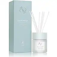 Reed Diffuser Set, Pretty Valley Home Diffuser 100Ml / 3.38fl OZ Gift Box - Includes Reed Diffuser Sticks, Fragrance Oil, and Glass Bottle for Bathroom Office Living Room Decor (Ocean Breeze)