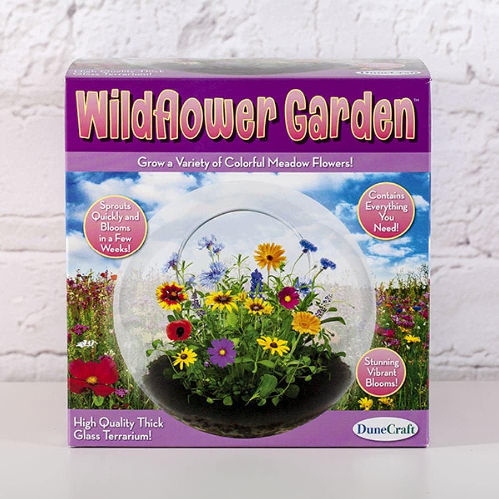 The Gift Experience Wild Flower Garden Glass Terrarium | Glass orb-shaped terrarium with everything needed to grow a selection of colourful wild flowers