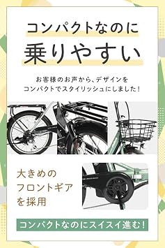PELTECHペルテック Aluminum Folding Electric Assist Bicycle, 20-Inch, Shimano Exterior 6 Speeds, Japan Electric Motor, Folding Bicycle with Stand and Rear Carrier Included Simple Assembly Required TDN