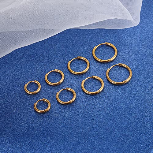 Image of 316L Surgical Stainless Steel Small Hoop Earrings 8mm 10mm 12mm 14mm Hypoallergenic Huggie Hoop Earrings Helix Lobes Hinged Sleeper Earrings Men Women for Cartilage Piercings