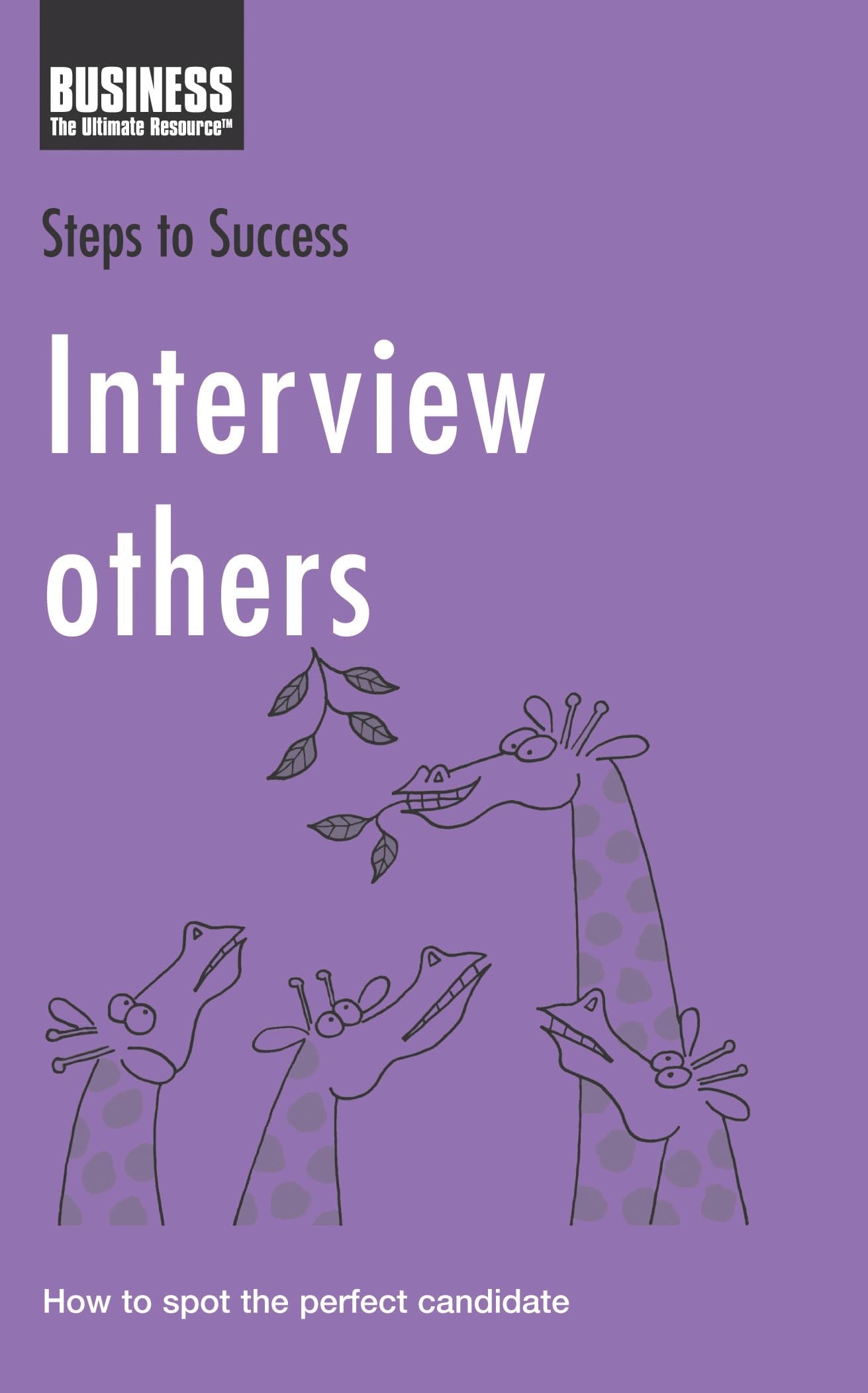Buy Interview Others: How to Spot the Perfect Candidate (Steps to Success) — BookShops.in