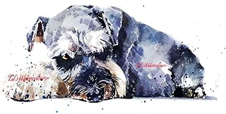 Schnauzer I spy 2 - Print Watercolour,Schnauzer art,Schnauzer print,Schnauzer art print,Schnauzer wall decor