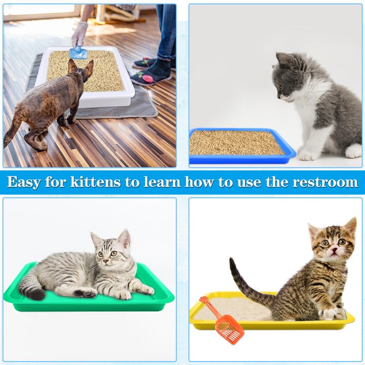 Is Your Cat Peeing Outside The Litter Box?, 53 OFF